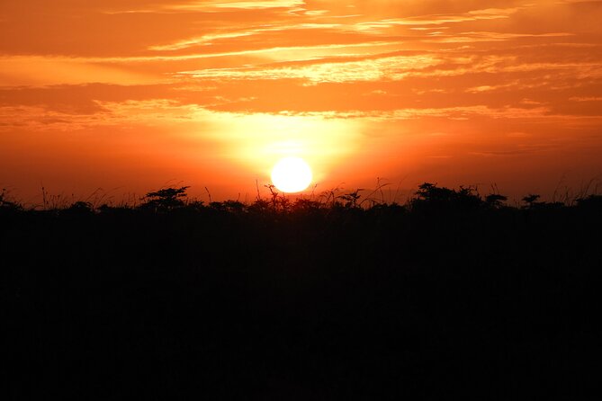 Amboseli Day Tour from Nairobi - Mount Kilimanjaro Views: Great When It’s Clear, Worth It Anyway
