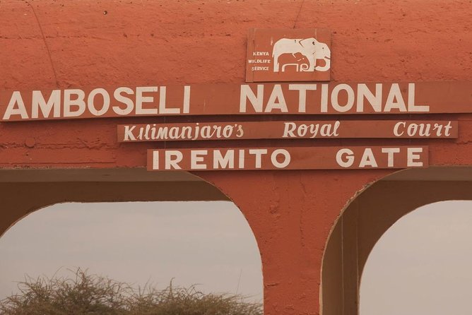 Amboseli Day Trip from Nairobi - Game Drive Through 12:30 pm: Your Main Wildlife Block