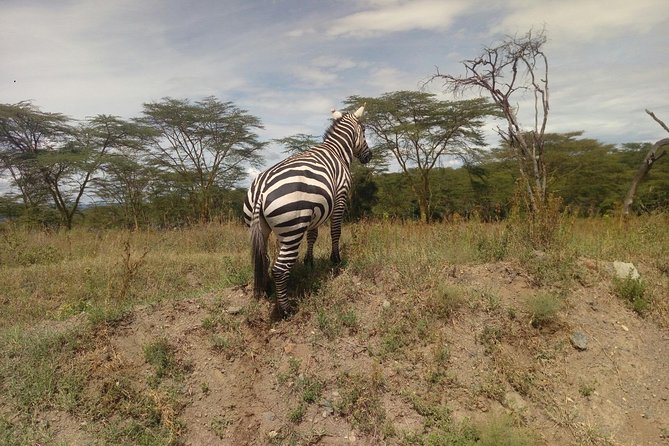 Amboseli Day Trip from Nairobi - Entering Amboseli: Park Timing and What the Morning Sets Up