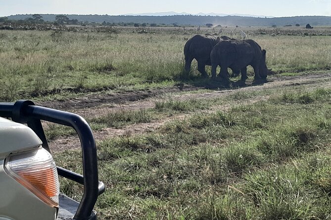 Amboseli day trip with pick up - Driver and guide quality: why the day felt smooth