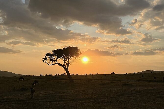 Amboseli day trip with pick up - Entering Amboseli National Park around 9 am, with Kilimanjaro in the background