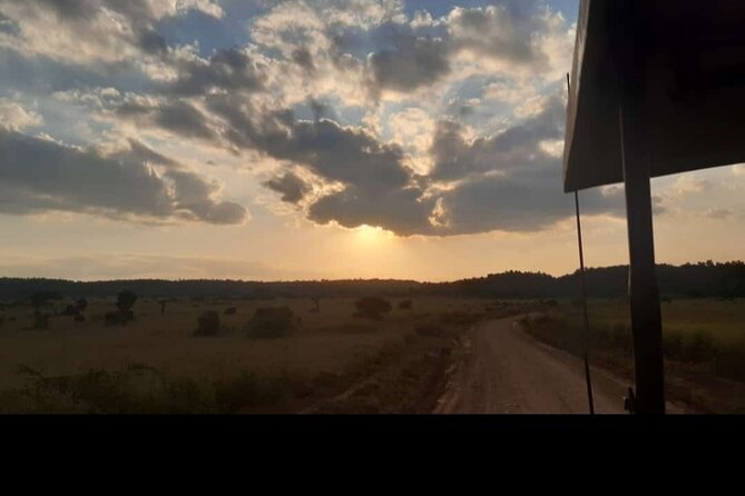 Amboseli Day Trip with Pickup - FAQ