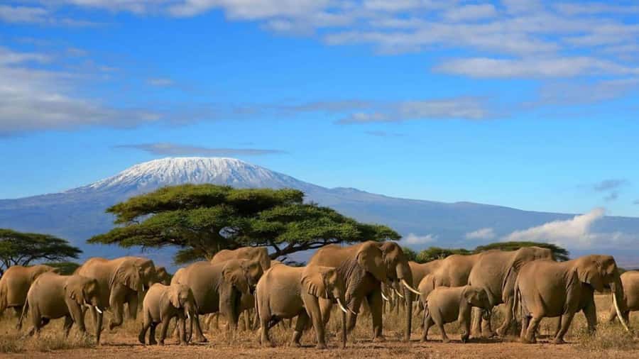 Amboseli National Park 3-Day Safari from Nairobi - Observation Hill and the Best Way to Use Your Time