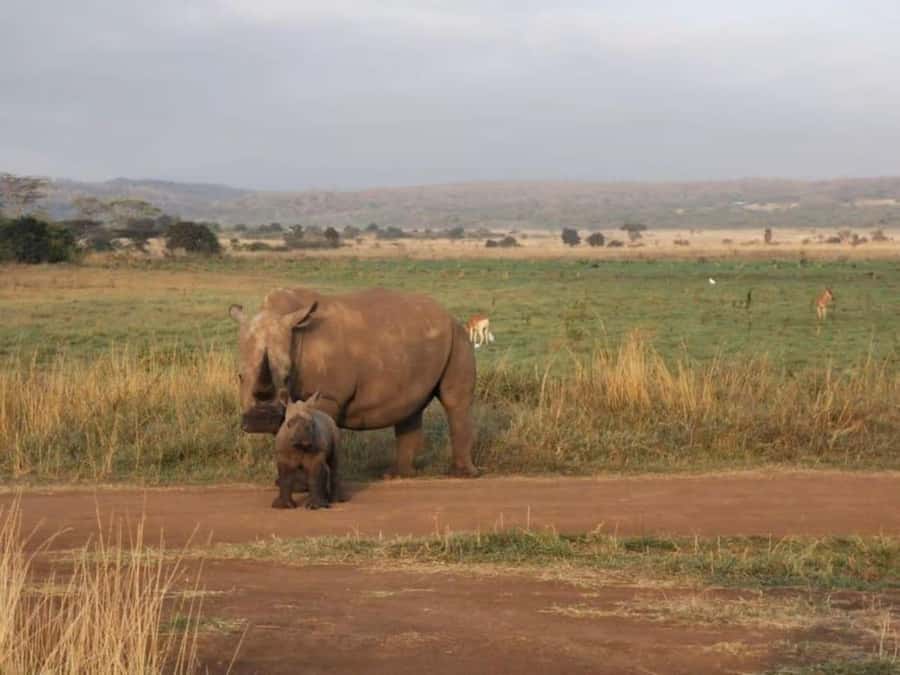Amboseli National Park 3-Day Safari from Nairobi - Masai Village Visit: Cultural Time Without Pretending It’s a Museum