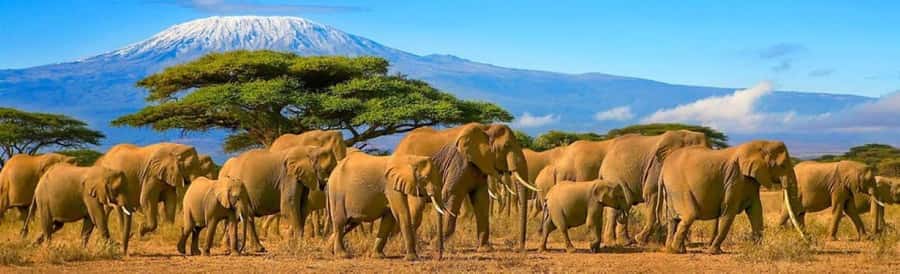 Amboseli National Park 3-Day Safari from Nairobi - Nairobi Pickup and the Road Time That Sets the Pace