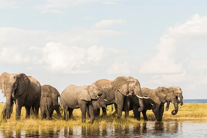 Amboseli National Park Day tour; Free Wifi Connection - Who This Amboseli Day Tour Is Best For