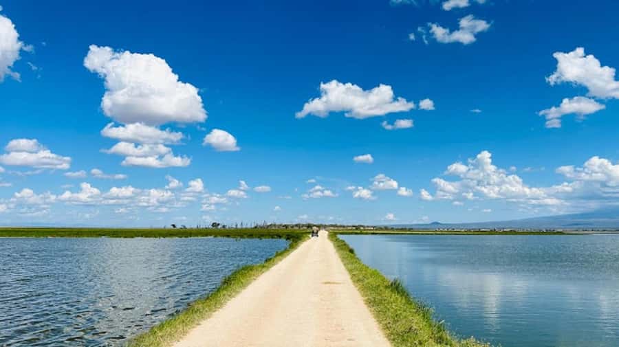 Amboseli National Park Day Trip and Maasai Village Visit - The Maasai village visit: cultural context, plus shopping and time tradeoffs