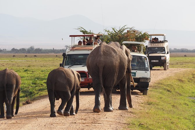 Amboseli National Park Full Day Guided Tour - Key things that make this Amboseli tour click