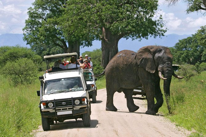 Amboseli National Park: Guided Full Day Tour - Key things that make this tour worth your day