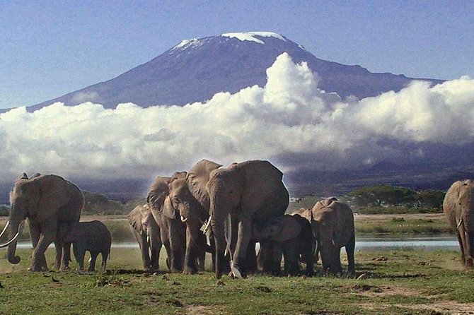 Amboseli National Park: Guided Full Day Tour - Nairobi pickup to the van ride: the day starts with road time