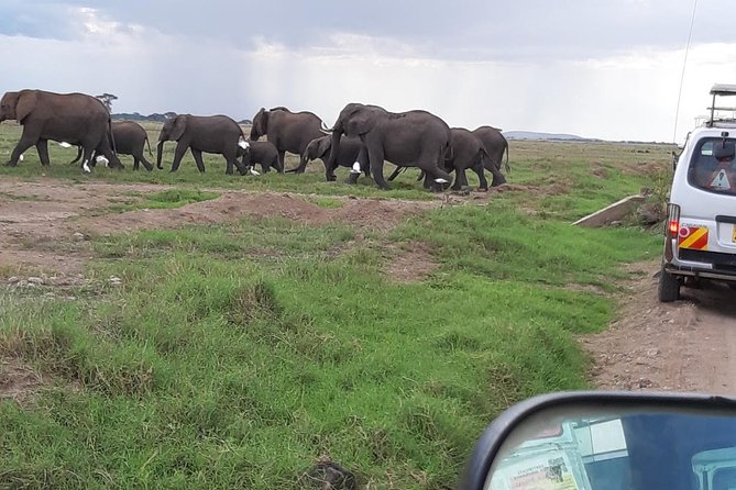 Amboseli National Park Guided Full Day Tour - What to pack for a morning start and long day