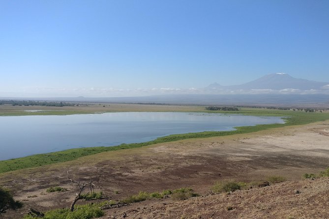 Amboseli Overnight Trip - Entering Amboseli National Park: elephants, antelope, giraffes, and birds