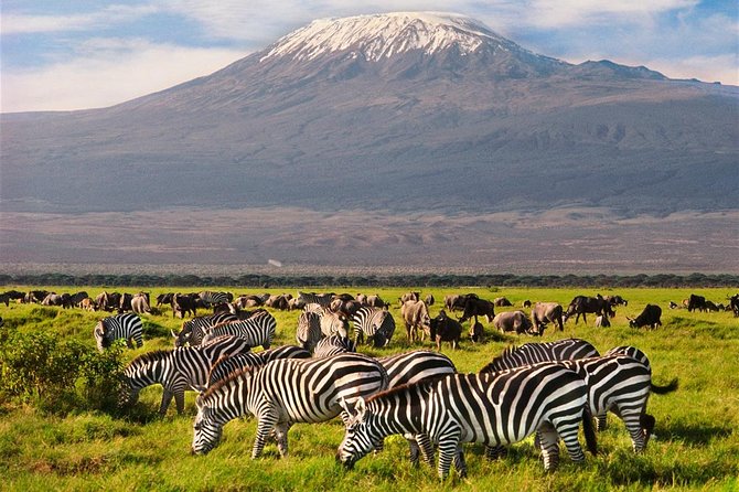Amboseli Park & Kilimanjaro views Day tour - Optional Maasai village upgrade: what you add to the day