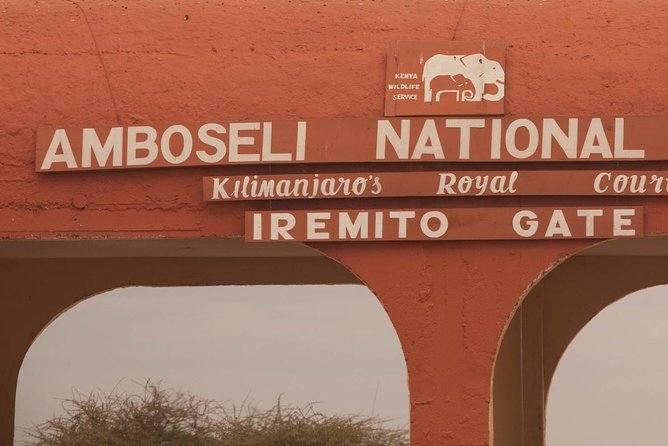 Amboseli Park & Kilimanjaro views Day tour - Who this tour fits best (and who should think twice)