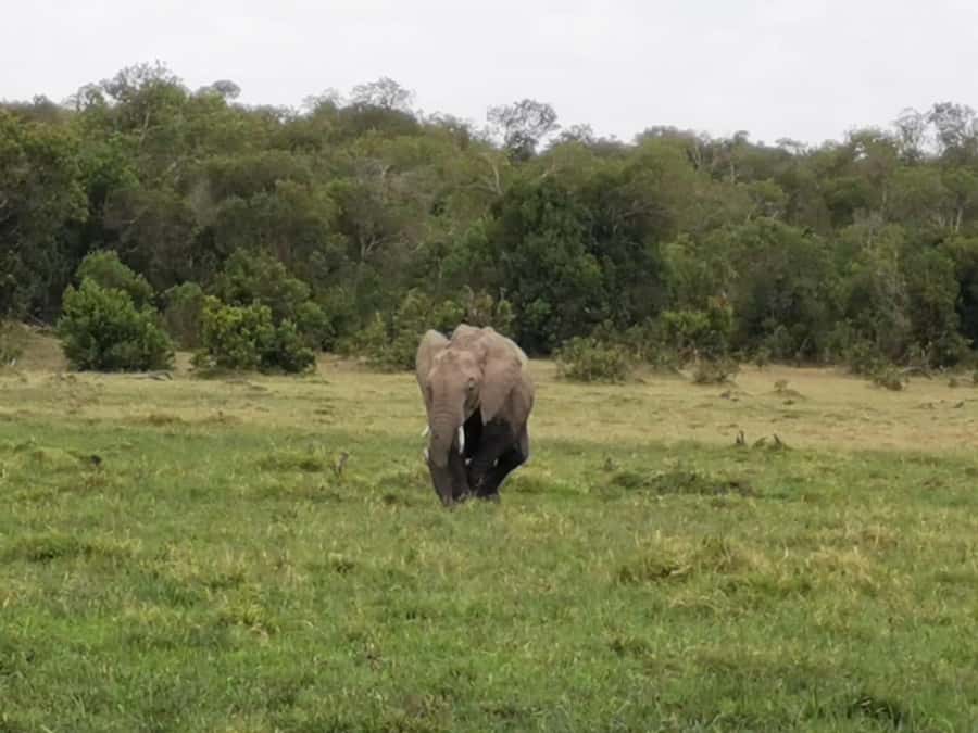 Amboseli Wildlife Day Tour And Masai Village Visit - Observation Hill: A Viewpoint That Helps You Read the Park