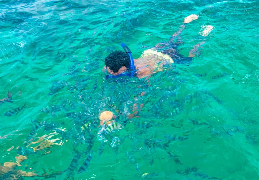 Blue Safari: Snorkeling at Watamu Marine Park & Seafood - Key points before you go