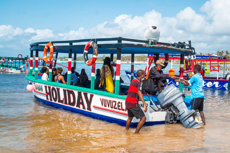 Blue Safari: Snorkeling at Watamu Marine Park & Seafood - Snorkeling in Watamu Marine National Park: what you can expect to see