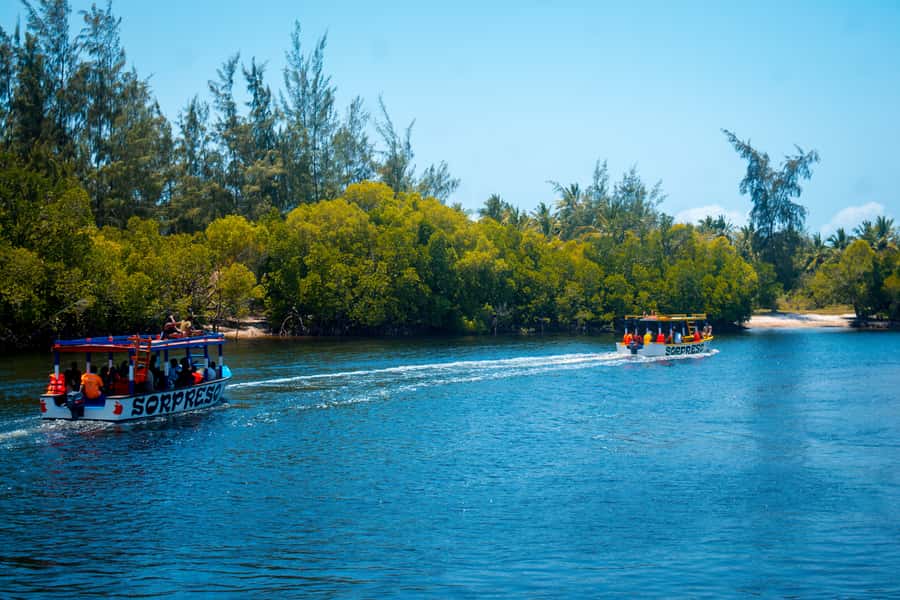 Blue Safari: Snorkeling at Watamu Marine Park & Seafood - Group pace and boat-time reality checks
