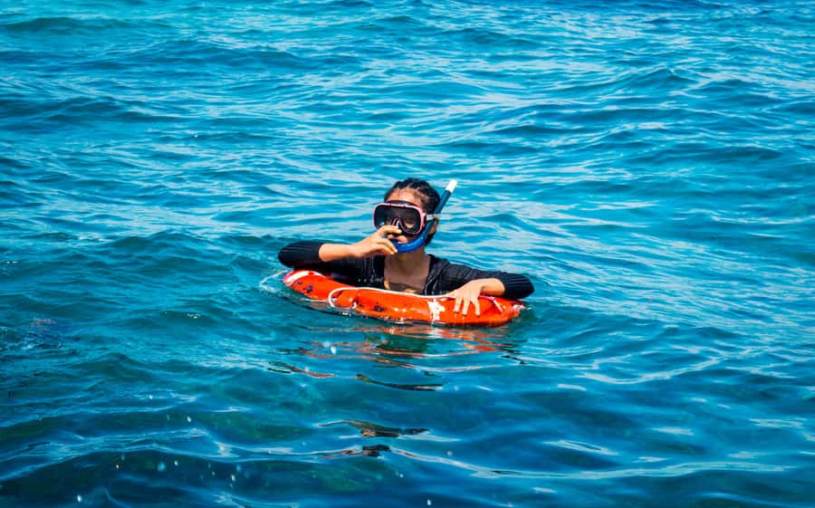 Blue Safari: Snorkeling at Watamu Marine Park & Seafood - Getting to Watamu Marine Park, and why the drive affects your day
