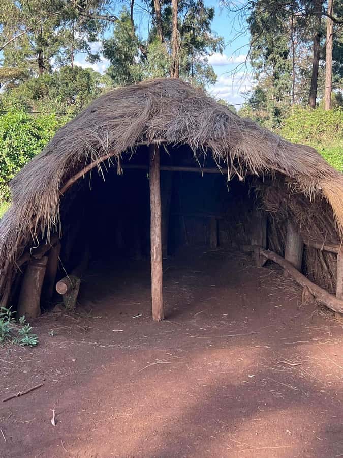 Bomas Of Kenya Cultural Experience - Price and value, including the entrance fee reality check