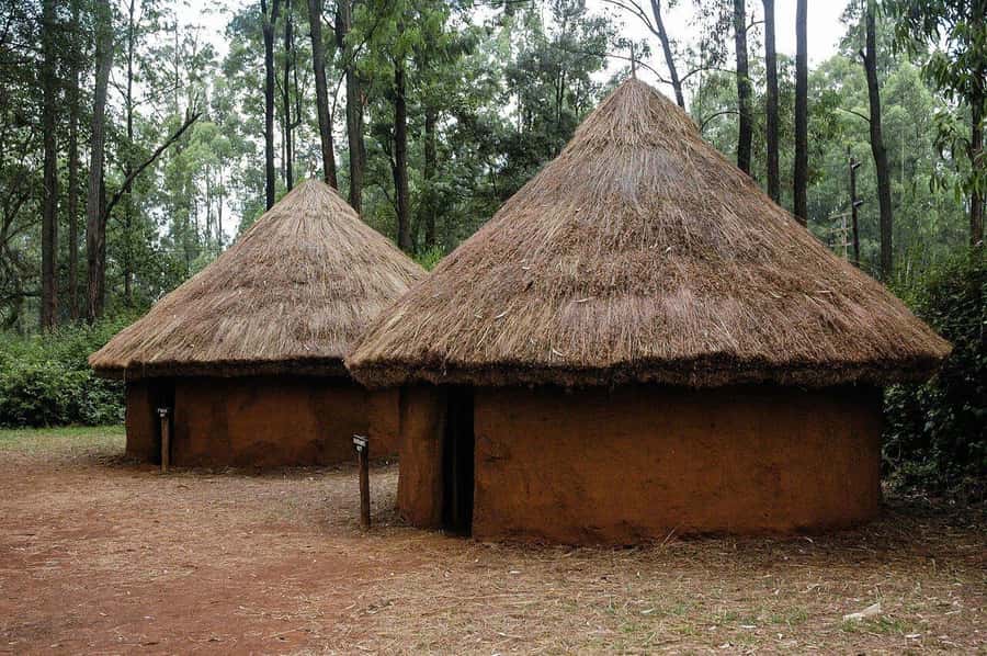 Bomas of Kenya Cultural tour - Price and logistics: when $48 feels fair, and when it doesn’t