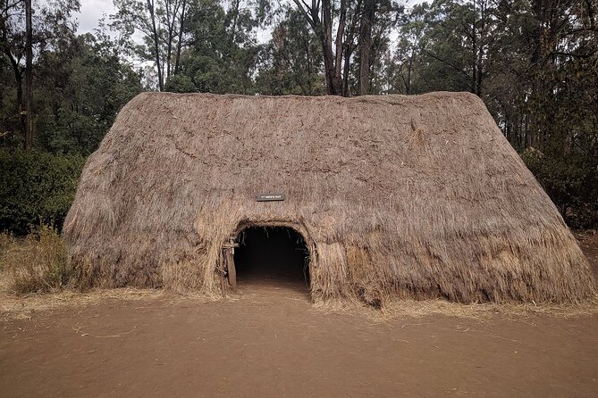 Bomas of Kenya Half-Day Tour from Nairobi - Who should book, and who might want a different plan
