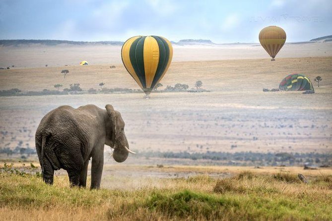 Classic Best Adventure In Kenya And Tanzania 2025 - Serengeti National Park: Ol Duvai Gorge and Classic Bush-Style Game Driving