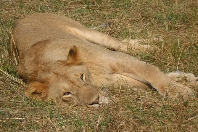 Classic Best of Kenya - How this 7-day route really feels