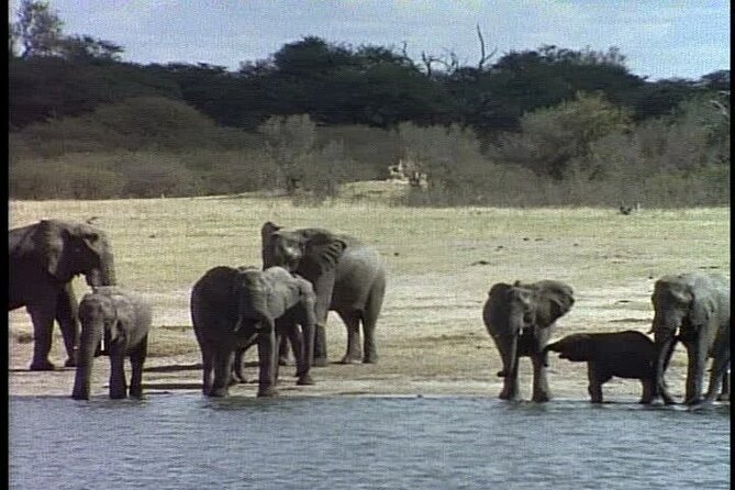 Classic Best of Kenya - Amboseli National Park with Kilimanjaro views, plus a second unlimited day