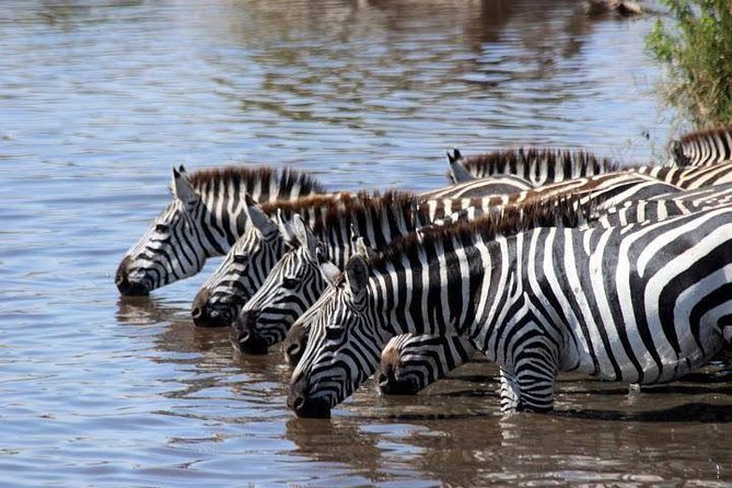 Classic Luxury 4 X 4 Masai Mara Safari - From Nairobi down the Great Rift to Maasai Mara
