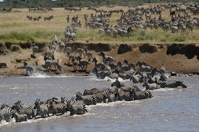 Classic Luxury 4 X 4 Masai Mara Safari - Optional hot air balloon over the Mara, with champagne breakfast