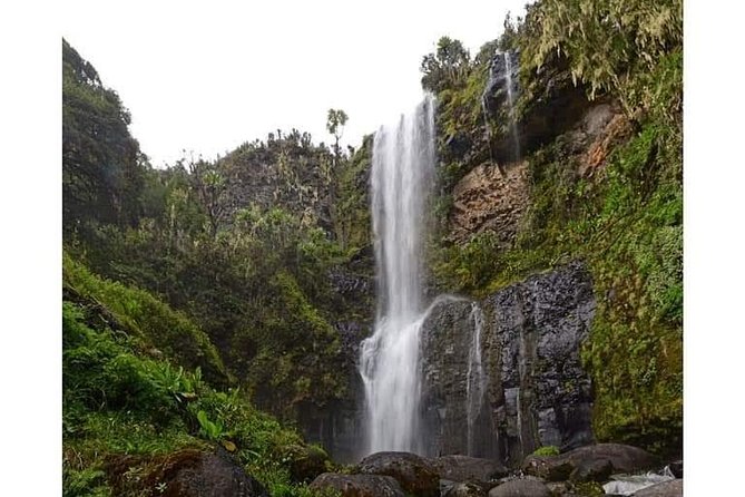 Climbing Mount Kenya 5 Days Via Chogoria Route - Day 5 the Sirimon gate exit: last morning rest and the drive back to Nairobi
