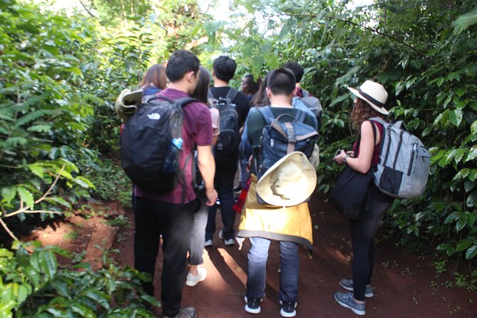 Coffee farm tour, coffee roasting and tasting experience - From Coffee Processing to Your Cup: The Step-by-Step Explanation