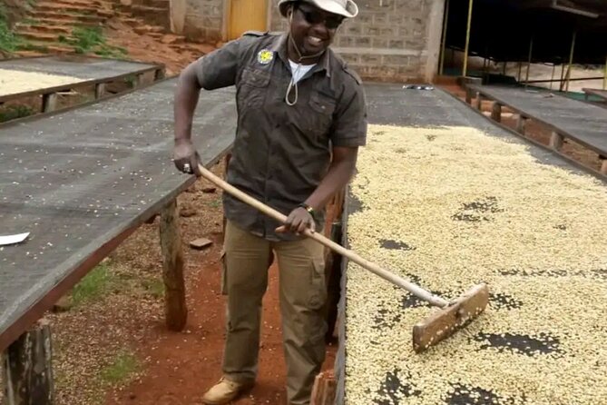 Coffee farm tour, coffee roasting and tasting experience - Price and Value: Does $35 Deliver Real Worth?