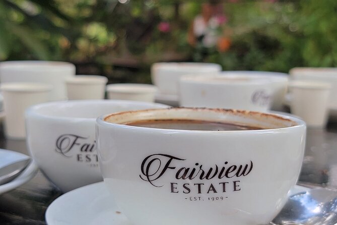 Coffee Farm Tour (Fairview) - Coffee Estate, Minutes from Nairobi