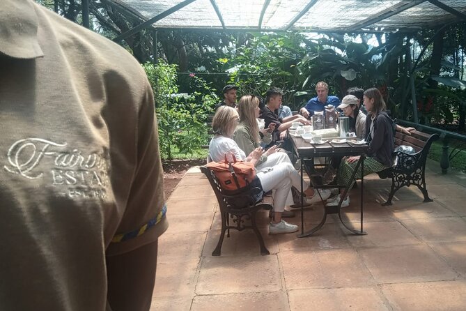 Coffee Farm Tour (Fairview) - Tasting Fairview’s Coffee Brands and What to Compare