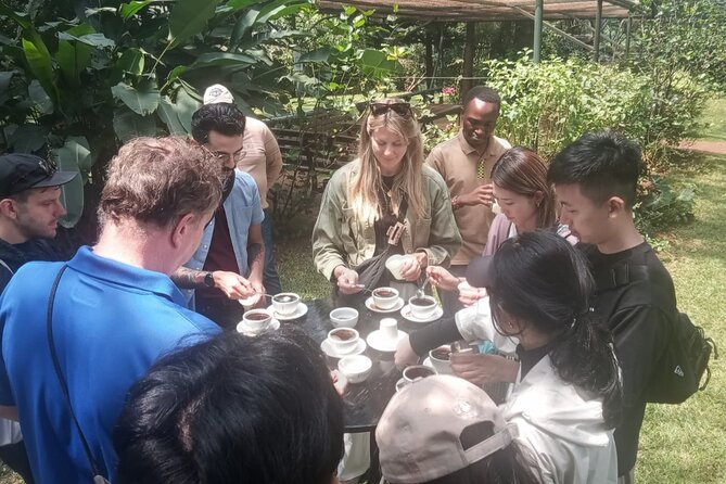 Coffee Farm Tour (Fairview) - Pickup, Timing, and How to Plan Your Day