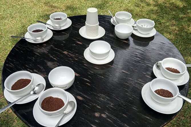 Coffee Farm Tour (Fairview) - Who This Tour Suits Best in Kenya