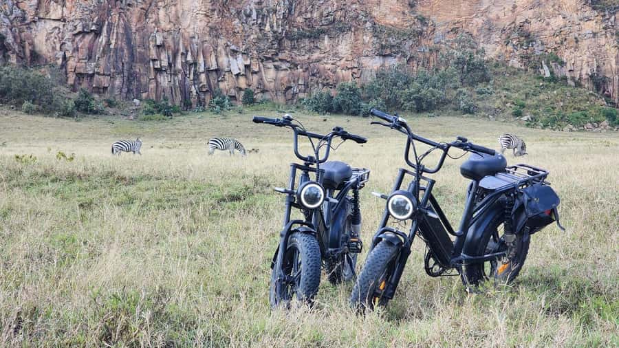 Daily Hell's gate National Park Ebike Cycling - Maasai market stop for arts, crafts, and conversation