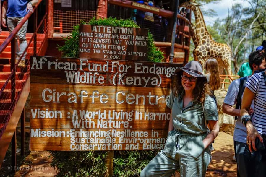 David Sheldrick Wildlife Trust & Giraffe Center with Lunch - Elephant orphanage access, baby elephants, and seeing conservation care in action