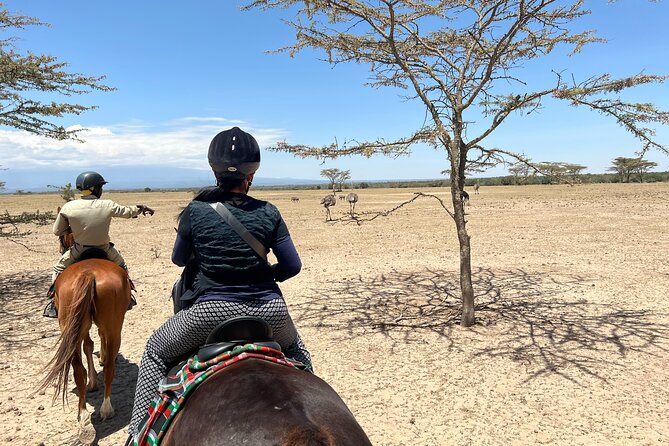 Day safari to Olpejeta Rhino conservancy - The main game drive: 90,000 acres and a real shot at big sightings
