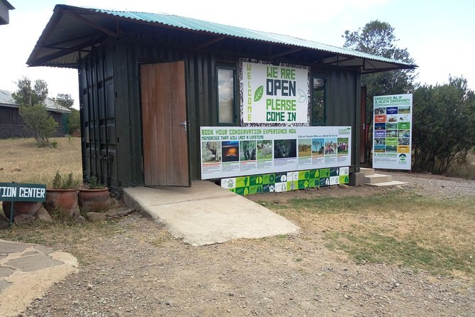 Day safari to Olpejeta Rhino conservancy - Price and value: what $250 buys you in a long day