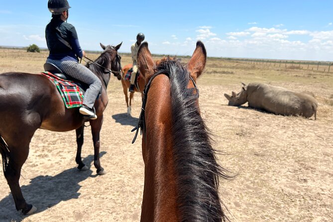 Day safari to Olpejeta Rhino conservancy - The 5:30 am start, Nairobi-to-Nanyuki energy, and Mt. Kenya on clear days