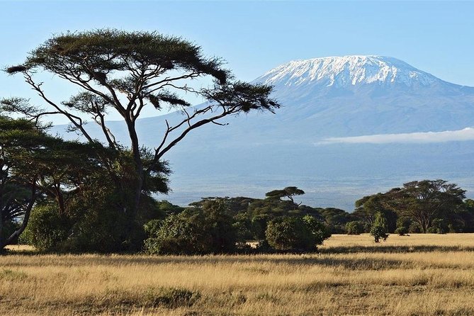 Day Tour - Amboseli National Park From Nairobi - Elephants at Kilimanjaro’s foothills: what makes Amboseli special