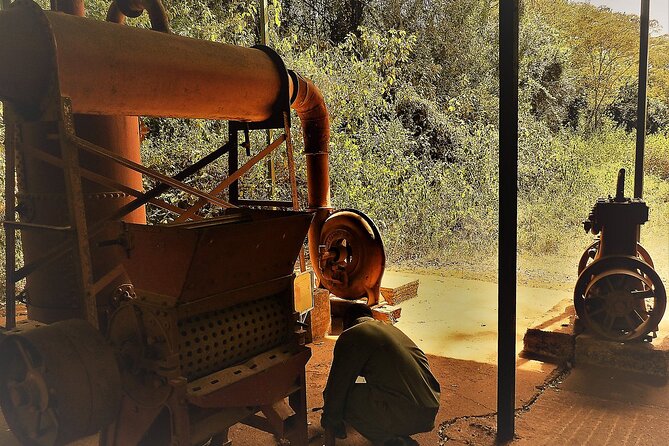 Day Tour Giraffe Center, Karen blixen and Lunch at Carnivore - Who Should Book This Tour (And Who Might Skip It)