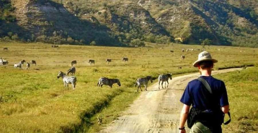 Day tour Hells gate and lake Naivasha from Nairobi - The guided hike inside Hell’s Gate: why you want a good guide