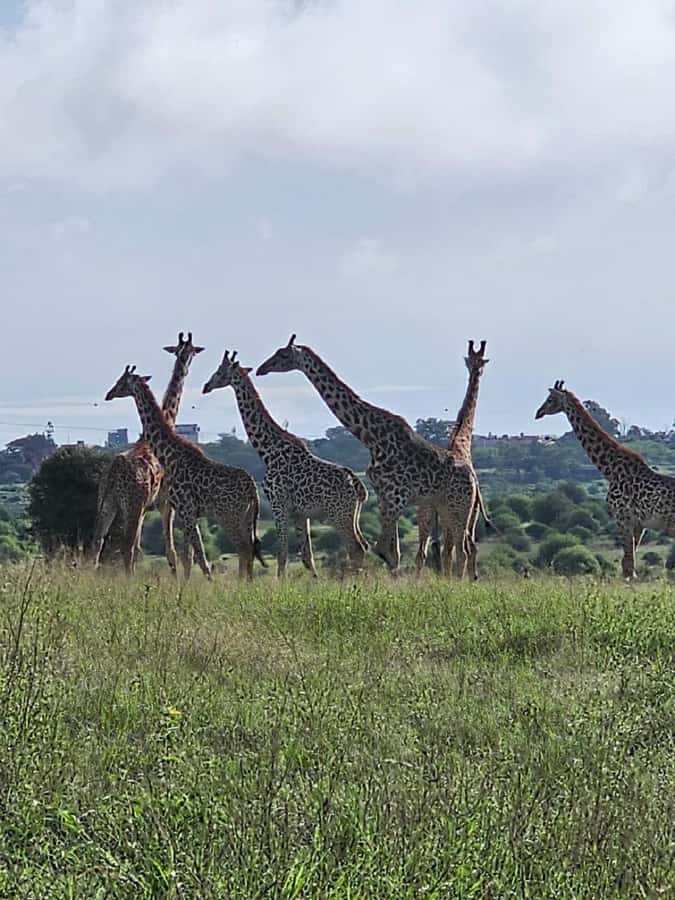Day tour Hells gate and lake Naivasha from Nairobi - Naivasha: photos, free time, and the arts and crafts stop