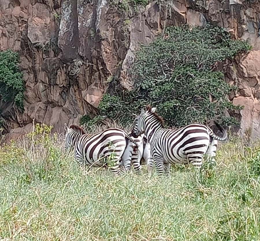 DAY TOUR- LAKE NAIVASHA AND HELL'S GATE PARK-WITH PARK FEES - Key highlights to zero in on