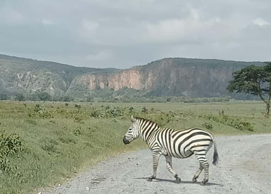 DAY TOUR- LAKE NAIVASHA AND HELL'S GATE PARK-WITH PARK FEES - The pacing secret: private guiding that fits your effort level
