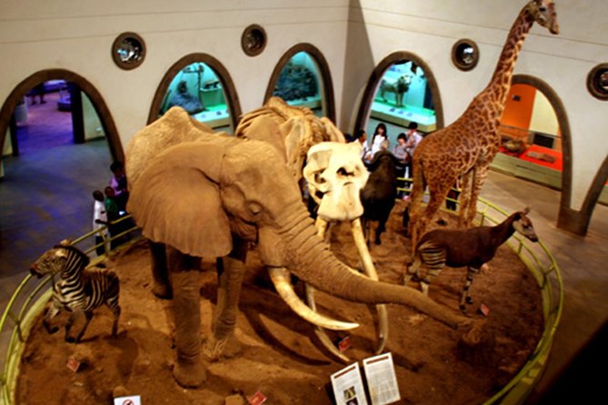 Day Tour Nairobi Museum, Giraffe Centre & Nairobi National Park - How the 9-hour structure keeps the day feeling balanced